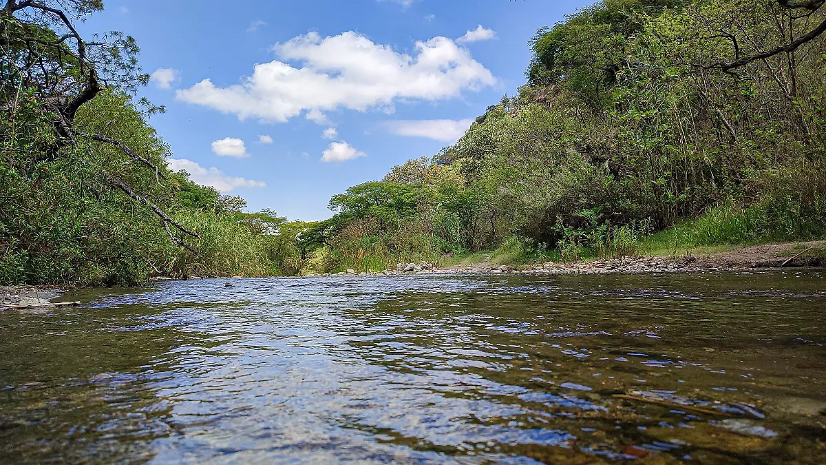 Río Foto. David Tamayo